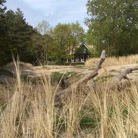 Cozy Villa In De Koog Amidst The Forest Villa De Cocksdorp (Texel)